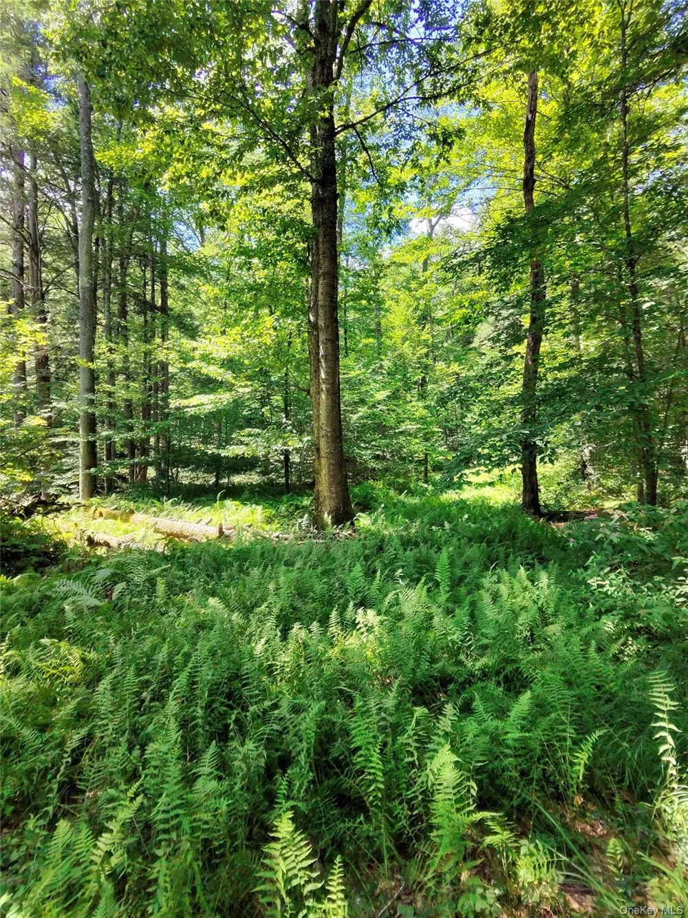 2735 Denning Road Claryville, NY 12725