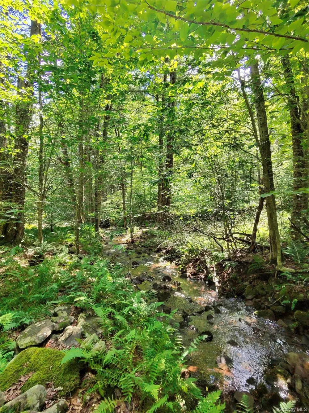 2735 Denning Road Claryville, NY 12725