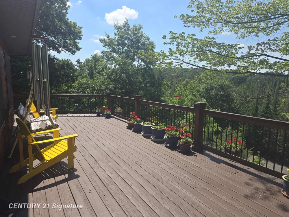 1454 Cedar River Drive Bellaire Village, MI 49615
