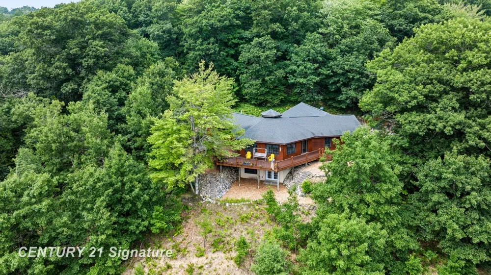 1454 Cedar River Drive Bellaire Village, MI 49615