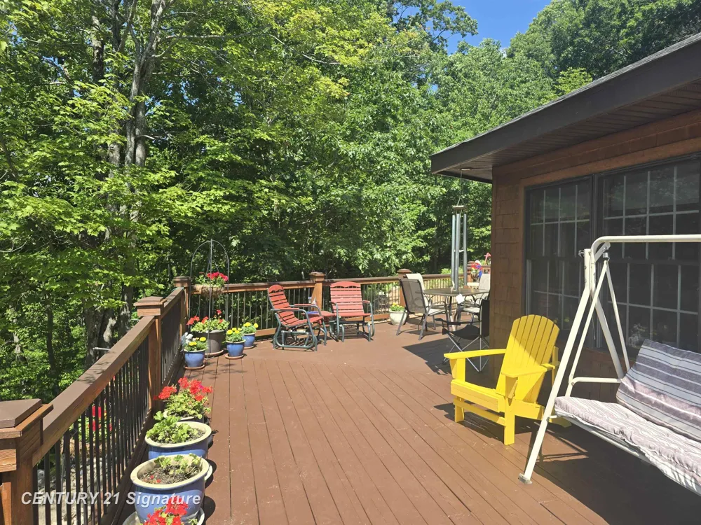 1454 Cedar River Drive Bellaire Village, MI 49615
