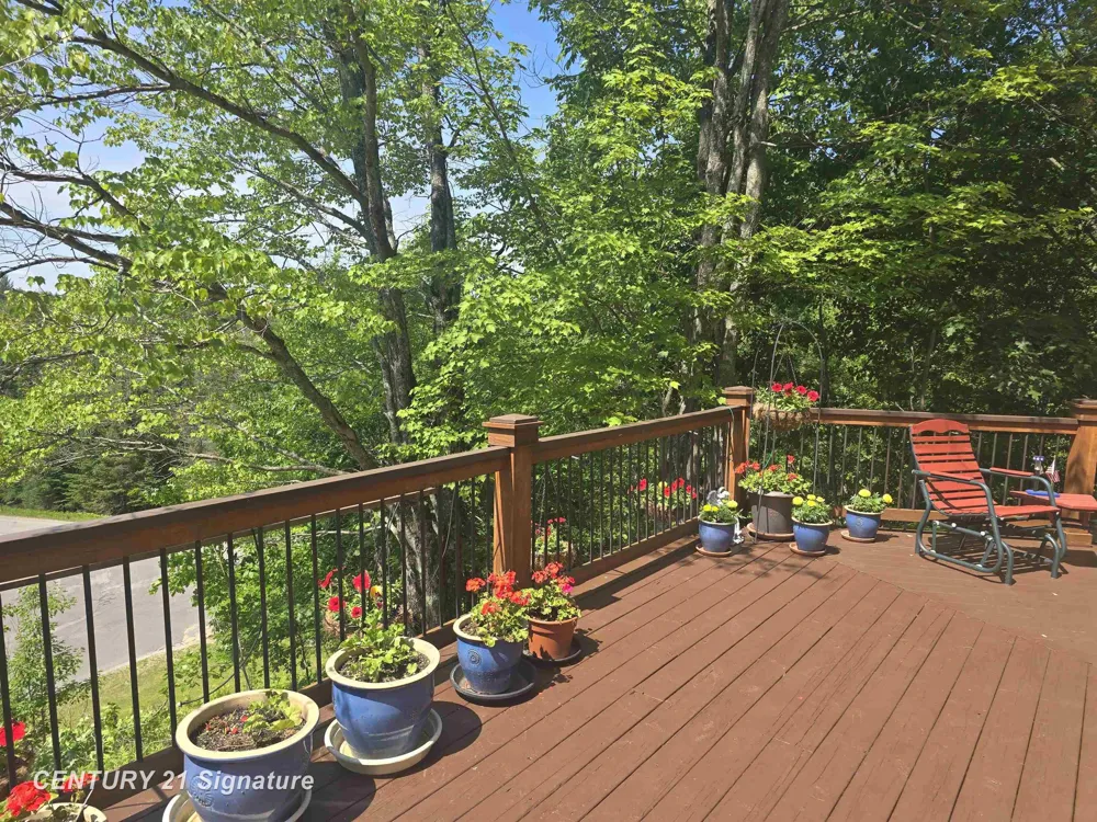 1454 Cedar River Drive Bellaire Village, MI 49615