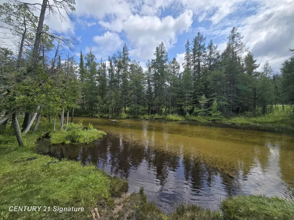 1454 Cedar River Drive Bellaire Village, MI 49615