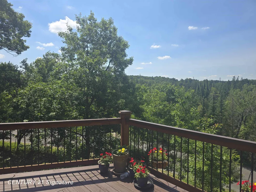 1454 Cedar River Drive Bellaire Village, MI 49615