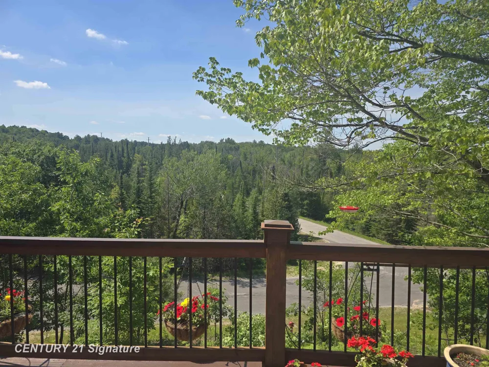 1454 Cedar River Drive Bellaire Village, MI 49615