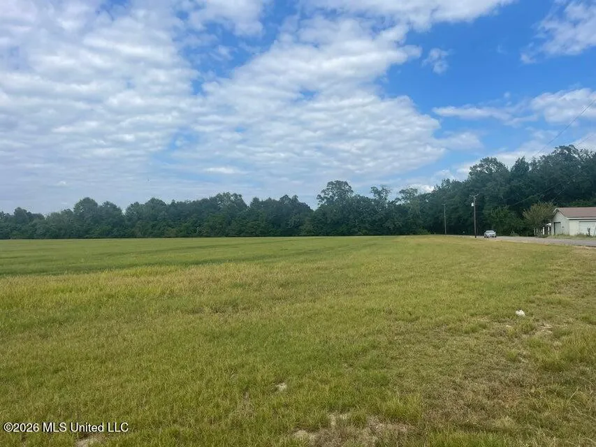15.5 Ac +- Carterville Road Petal, MS 39465
