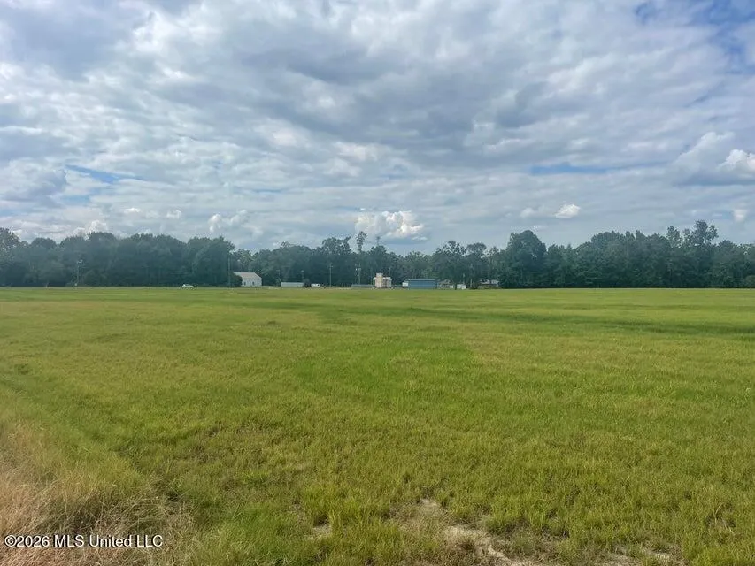 15.5 Ac +- Carterville Road Petal, MS 39465