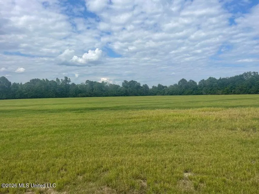 15.5 Ac +- Carterville Road Petal, MS 39465