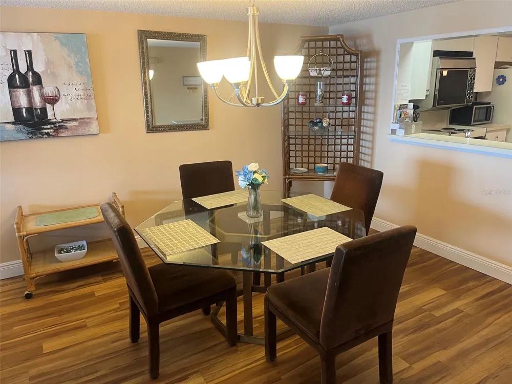 7300 SUN ISLAND DRIVE S #702 South Pasadena, FL 33707
