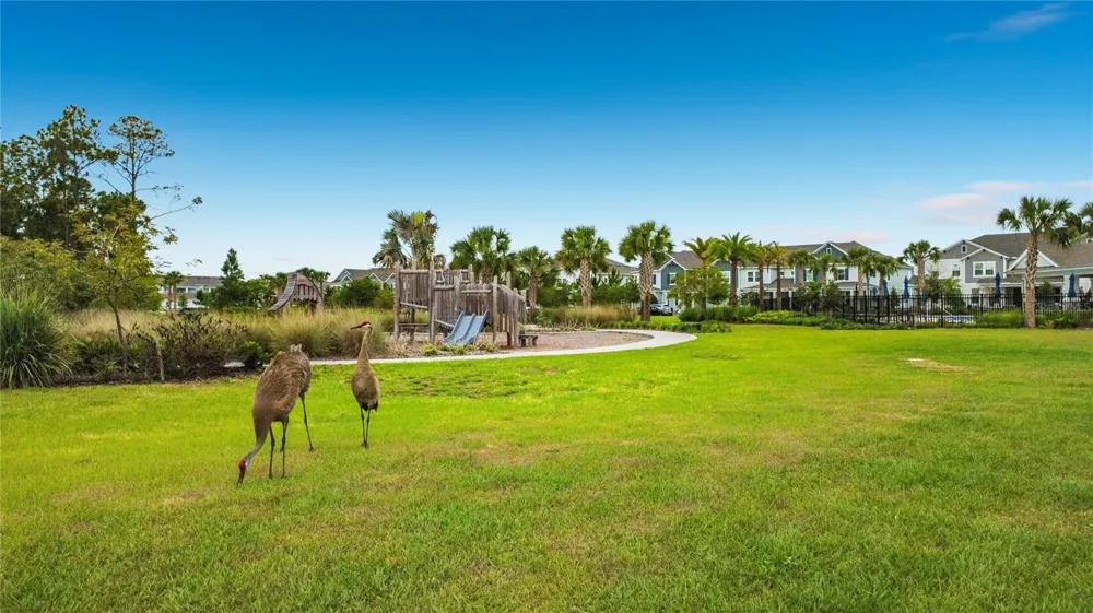 13568 AUTUMN HARVEST AVENUE Winter Garden, FL 34787