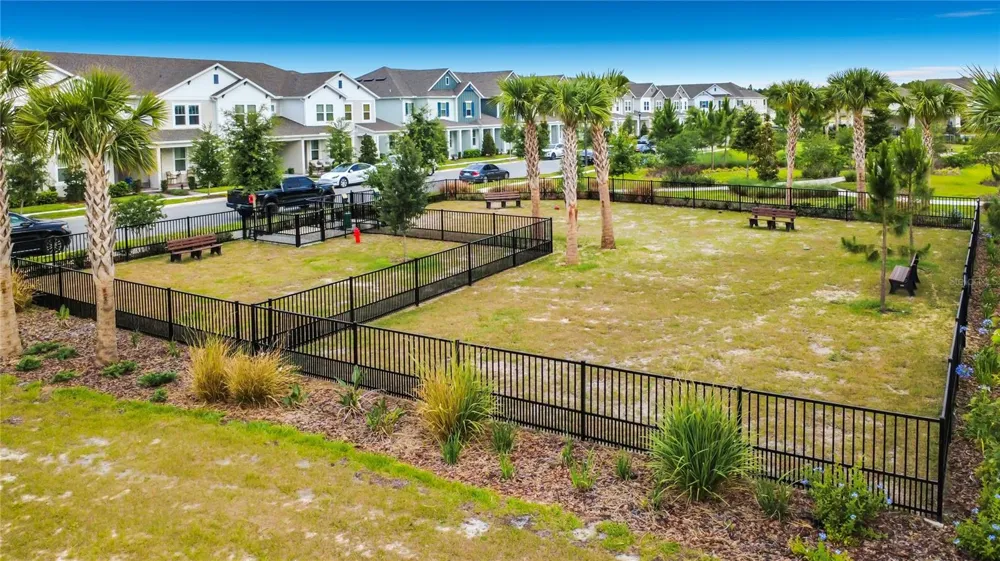 13568 AUTUMN HARVEST AVENUE Winter Garden, FL 34787