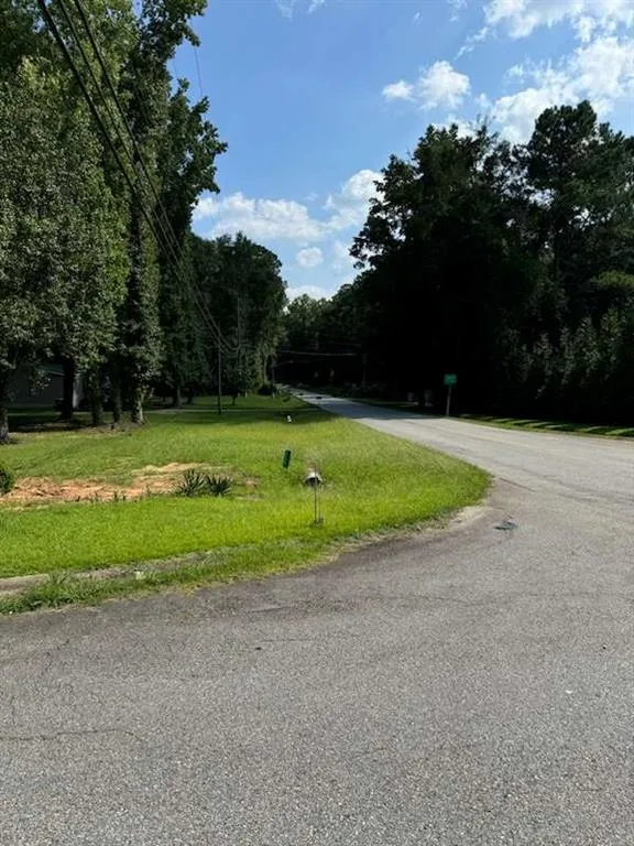 0 Cape Charles Avenue Hampton, GA 30228
