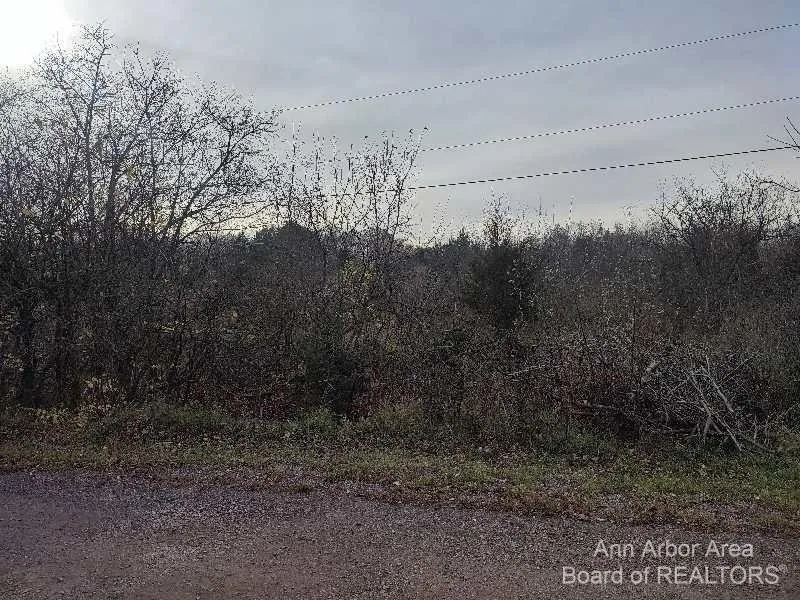 2897 Bateson Court Ann Arbor, MI 48105