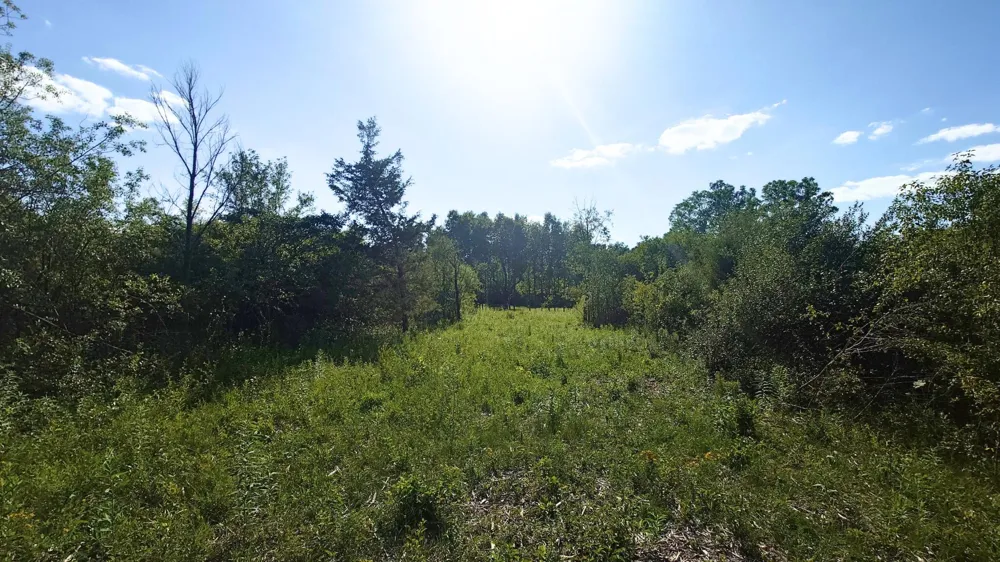 2897 Bateson Court Ann Arbor, MI 48105