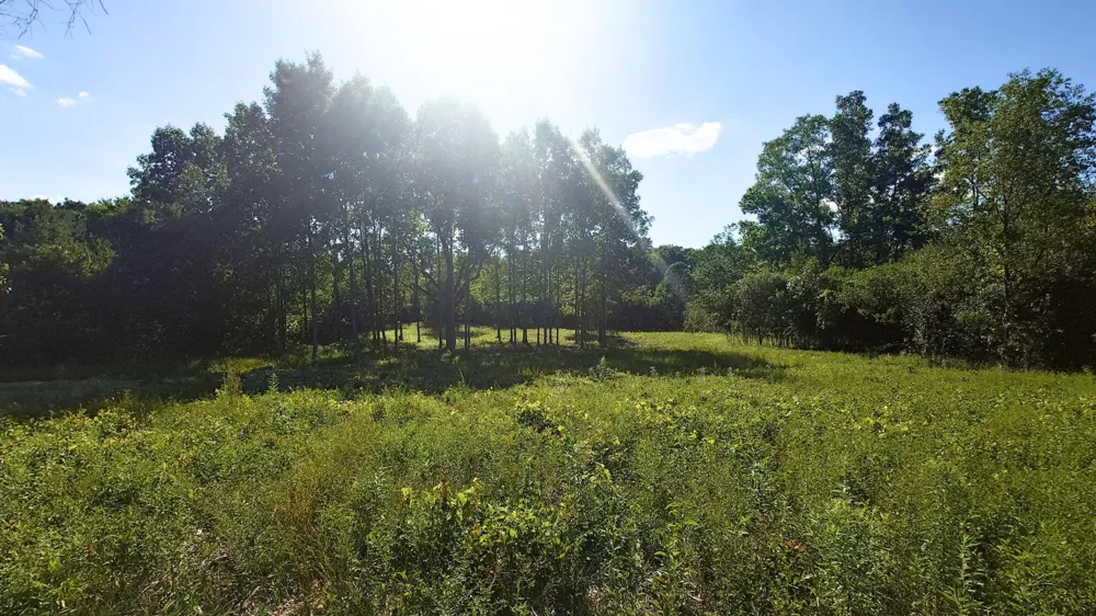 2897 Bateson Court Ann Arbor, MI 48105