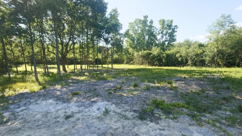 2897 Bateson Court Ann Arbor, MI 48105
