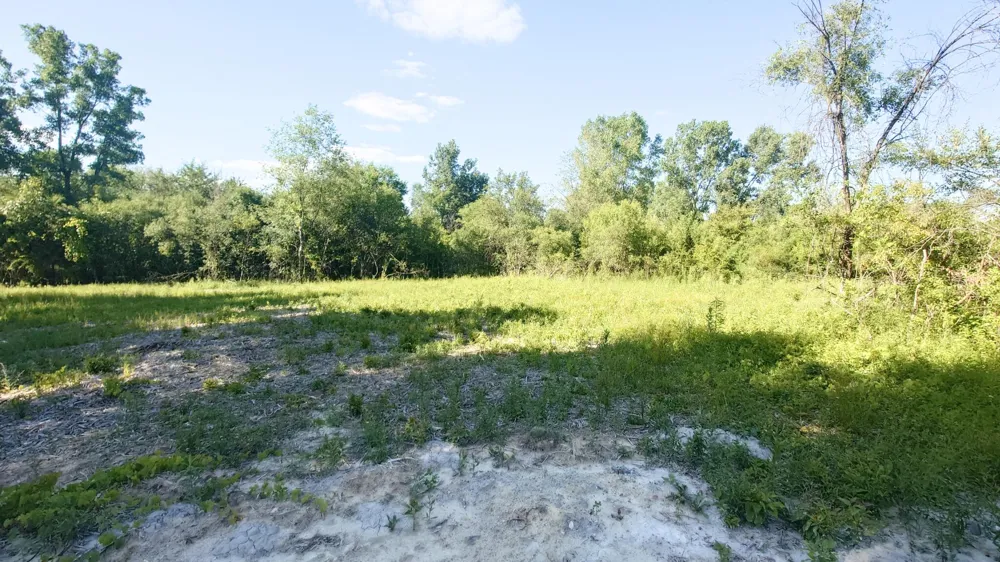 2897 Bateson Court Ann Arbor, MI 48105