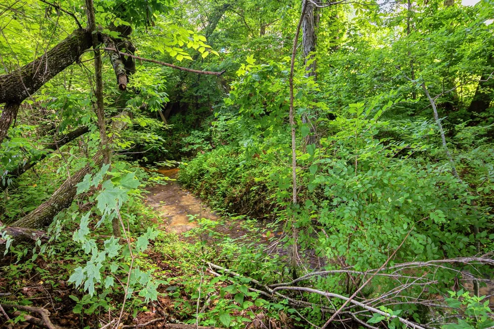 1193 Prestons Way Goodlettsville, TN 37072