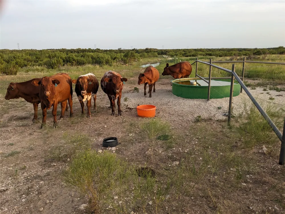 4801 Fm 1086 Wingate, TX 79566
