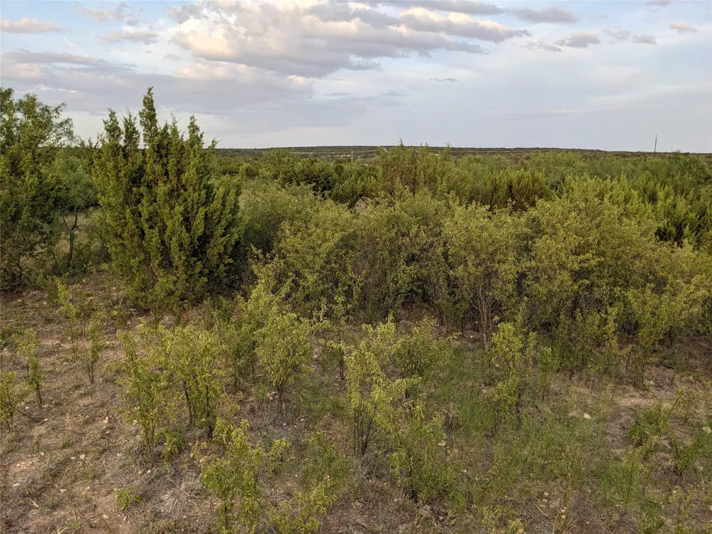 4801 Fm 1086 Wingate, TX 79566