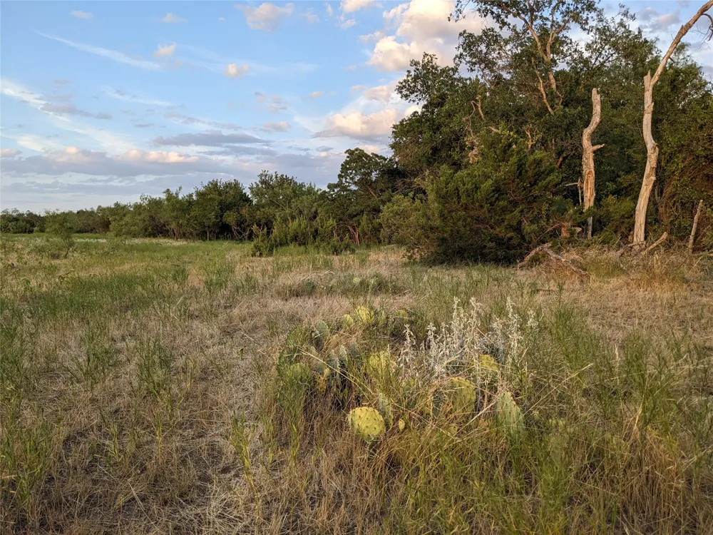 4801 Fm 1086 Wingate, TX 79566