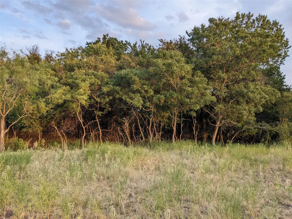 4801 Fm 1086 Wingate, TX 79566
