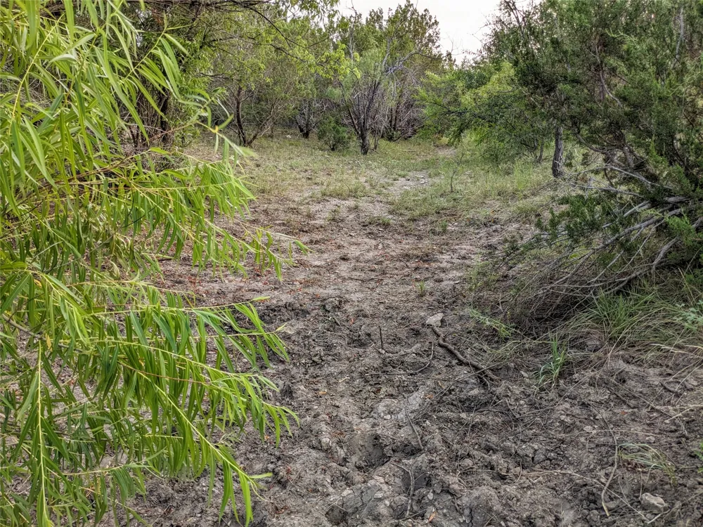 4801 Fm 1086 Wingate, TX 79566