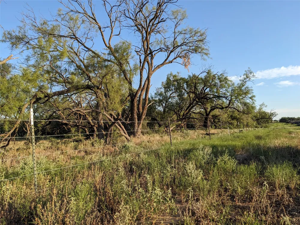 4801 Fm 1086 Wingate, TX 79566