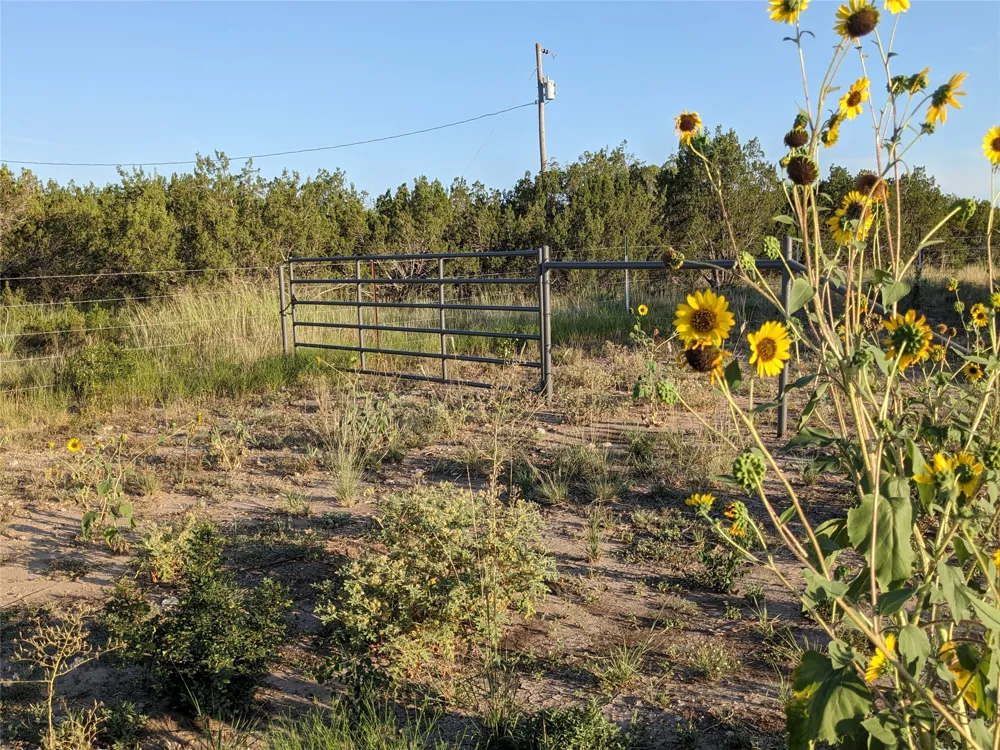 4801 Fm 1086 Wingate, TX 79566