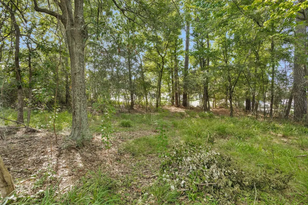 11710 Willowrun Drive Montgomery, TX 77356