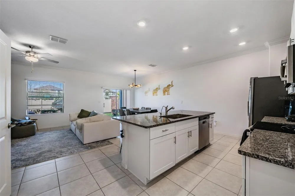 9661 ASHWORTH PLACE Land O Lakes, FL 34637