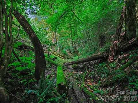 000 Cove Mountain Road