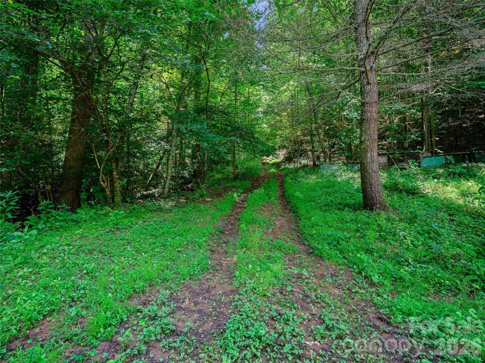 000 Cove Mountain Road Burnsville, NC 28714