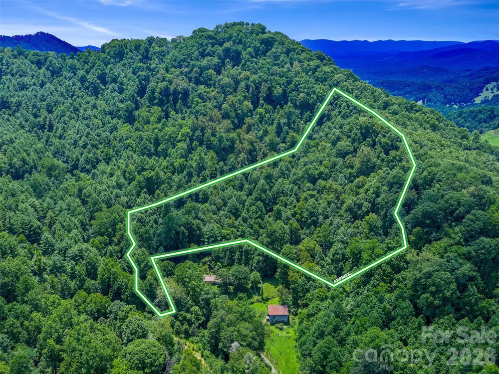 000 Cove Mountain Road Burnsville, NC 28714