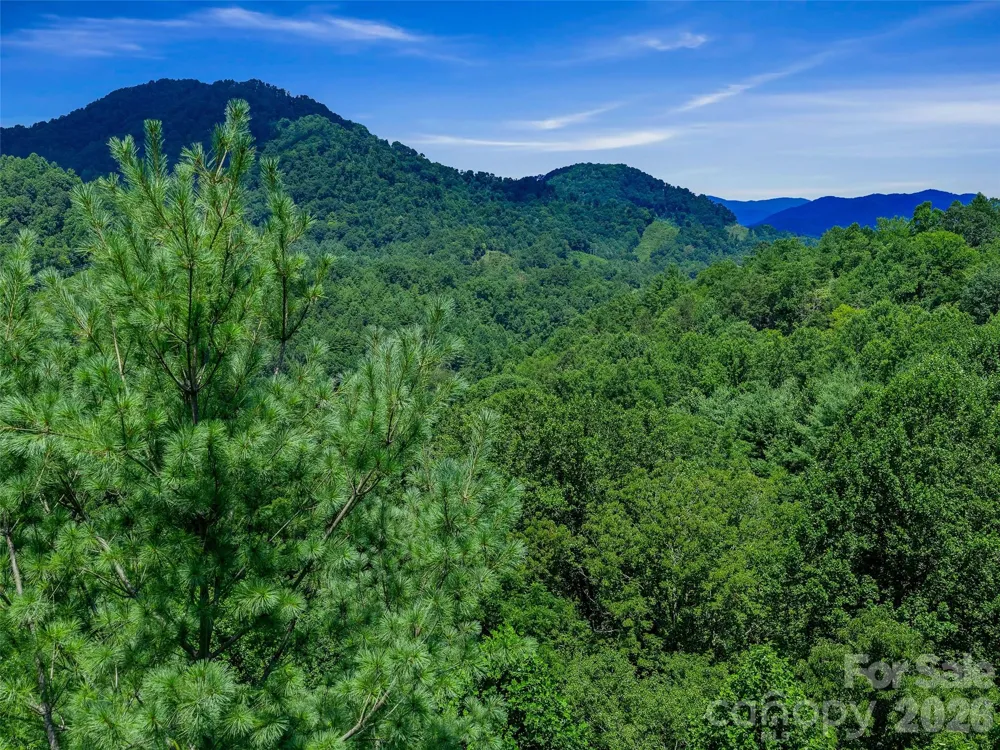 000 Cove Mountain Road Burnsville, NC 28714