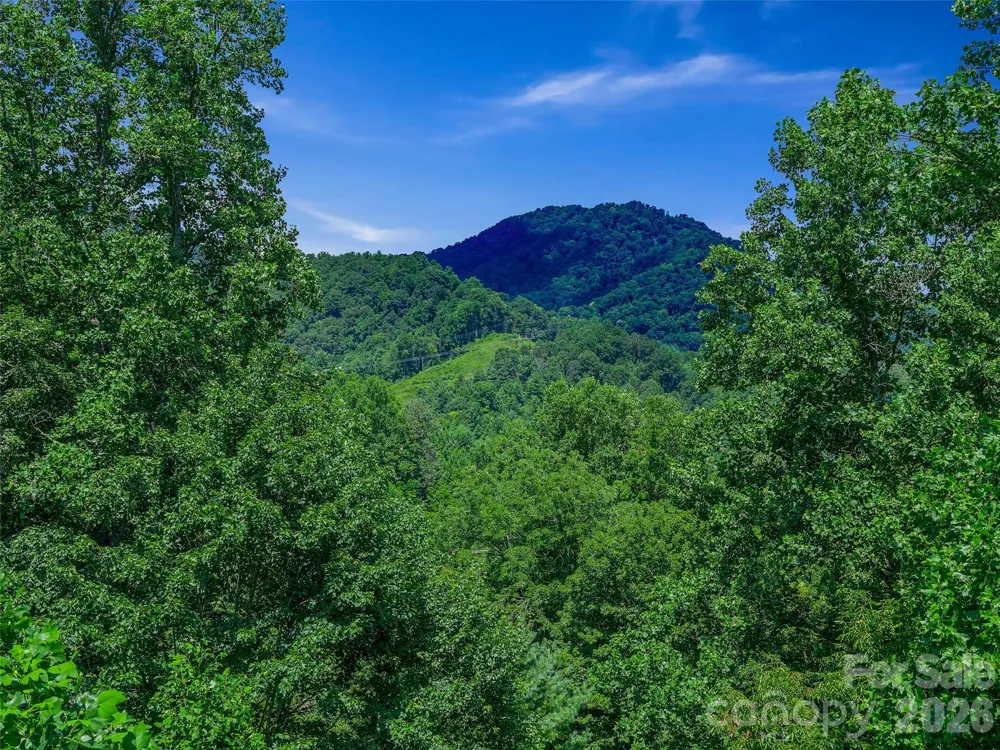 000 Cove Mountain Road Burnsville, NC 28714