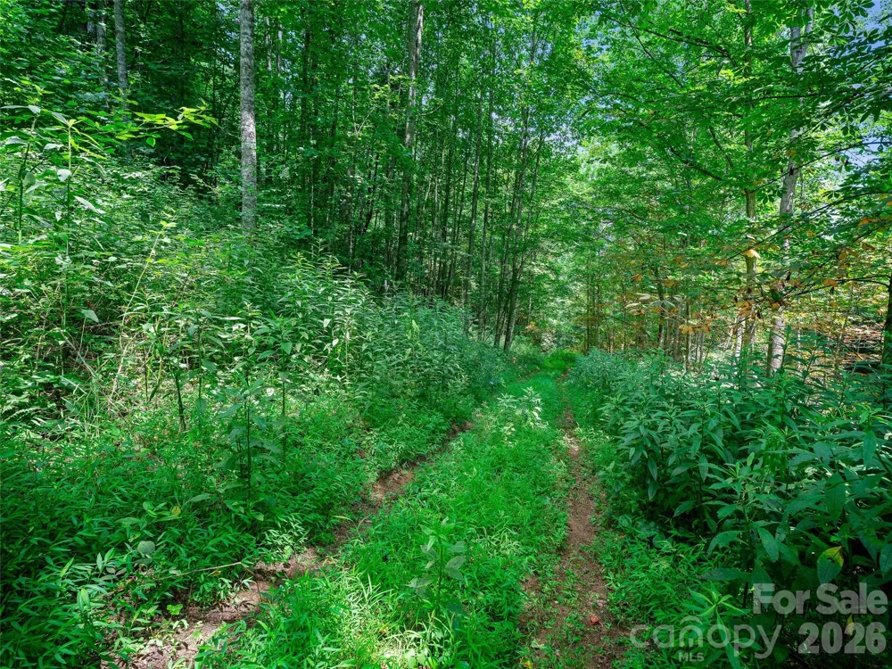 000 Cove Mountain Road Burnsville, NC 28714