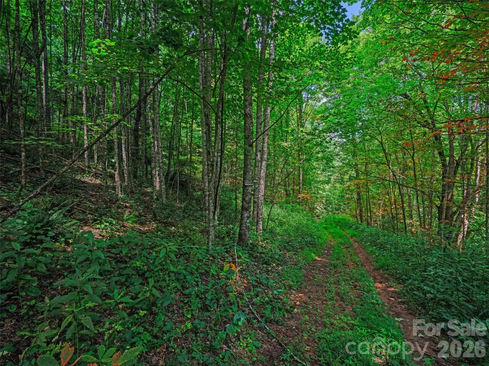 000 Cove Mountain Road Burnsville, NC 28714