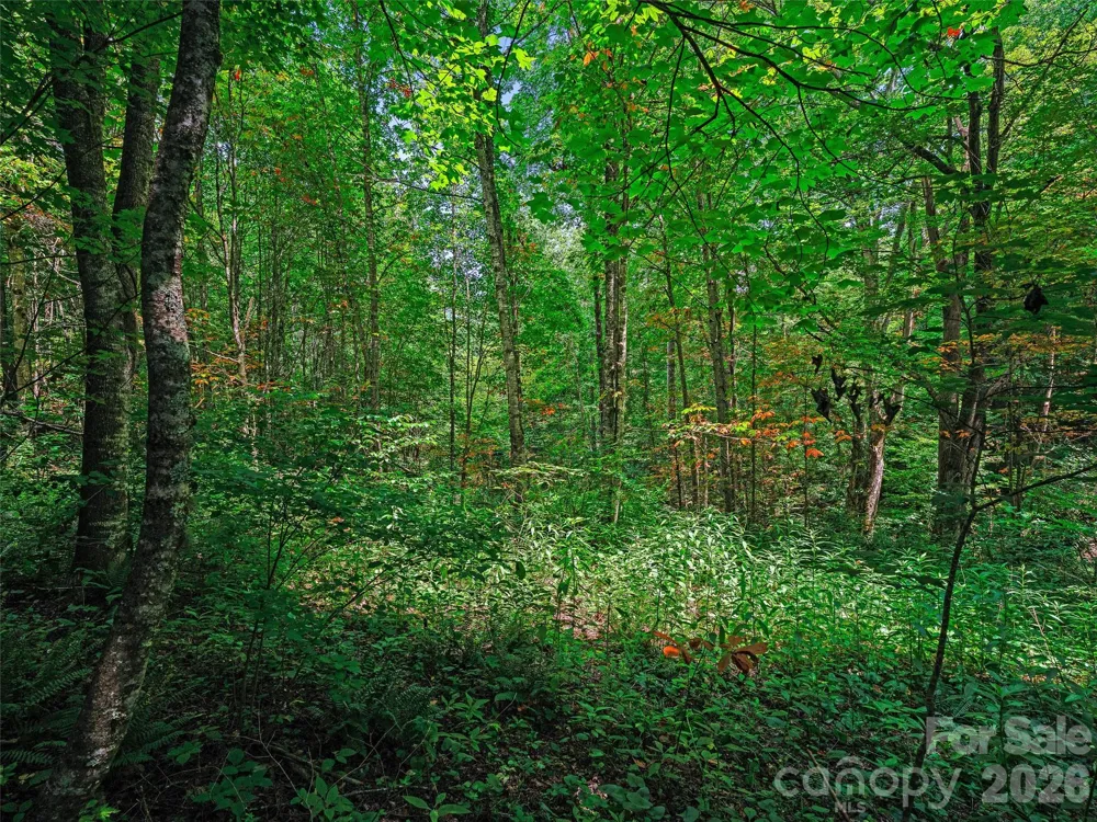 000 Cove Mountain Road Burnsville, NC 28714