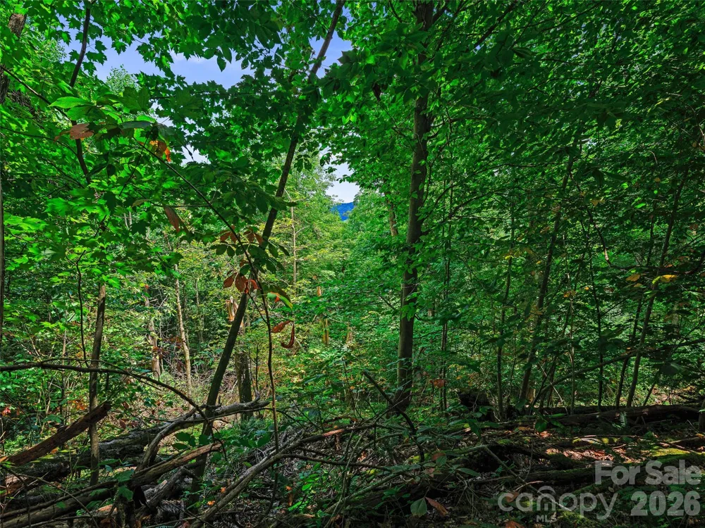 000 Cove Mountain Road Burnsville, NC 28714