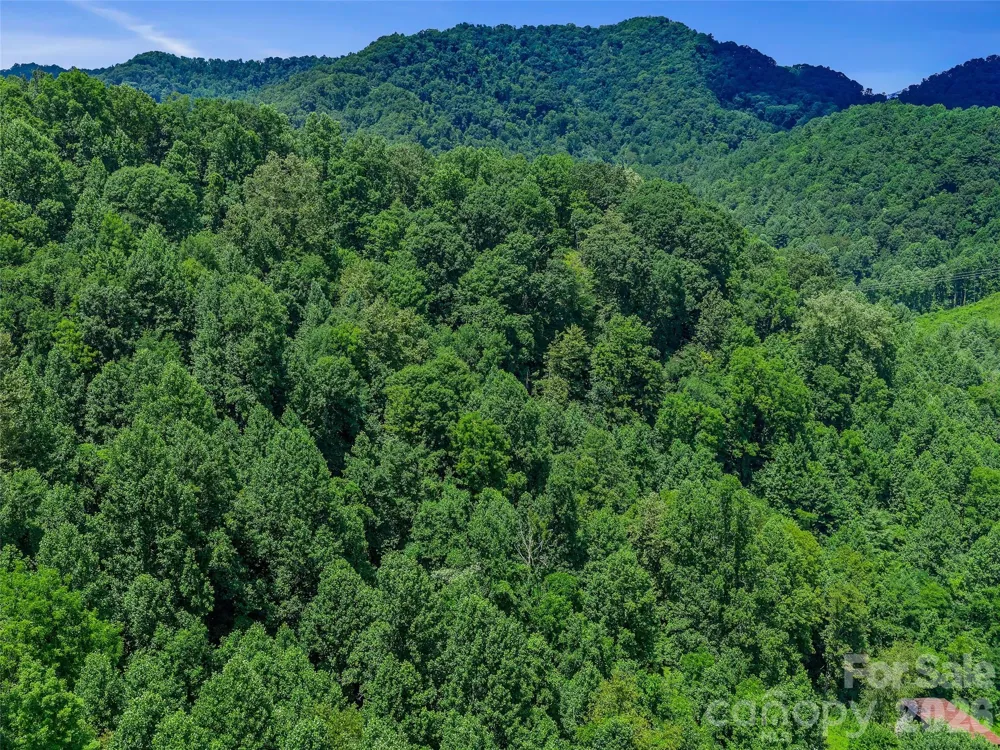 000 Cove Mountain Road Burnsville, NC 28714