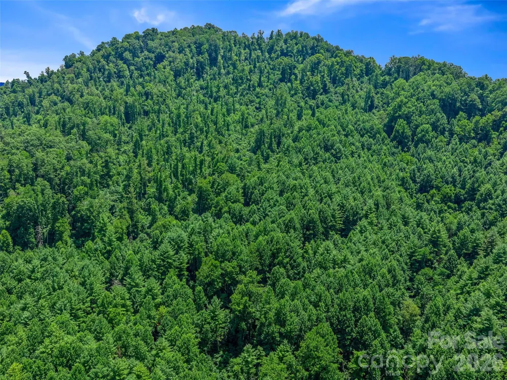 000 Cove Mountain Road Burnsville, NC 28714