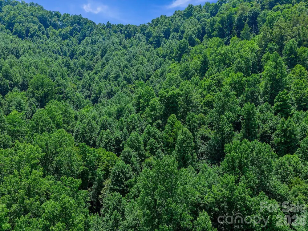 000 Cove Mountain Road Burnsville, NC 28714