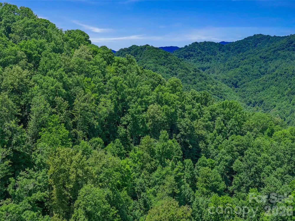 000 Cove Mountain Road Burnsville, NC 28714