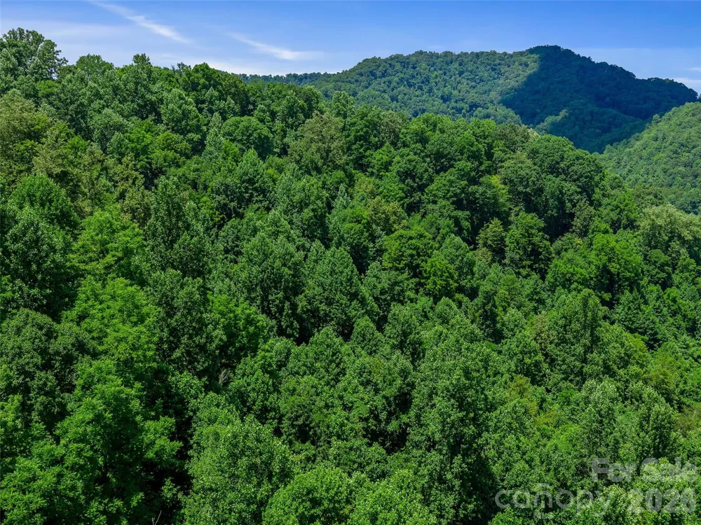 000 Cove Mountain Road Burnsville, NC 28714