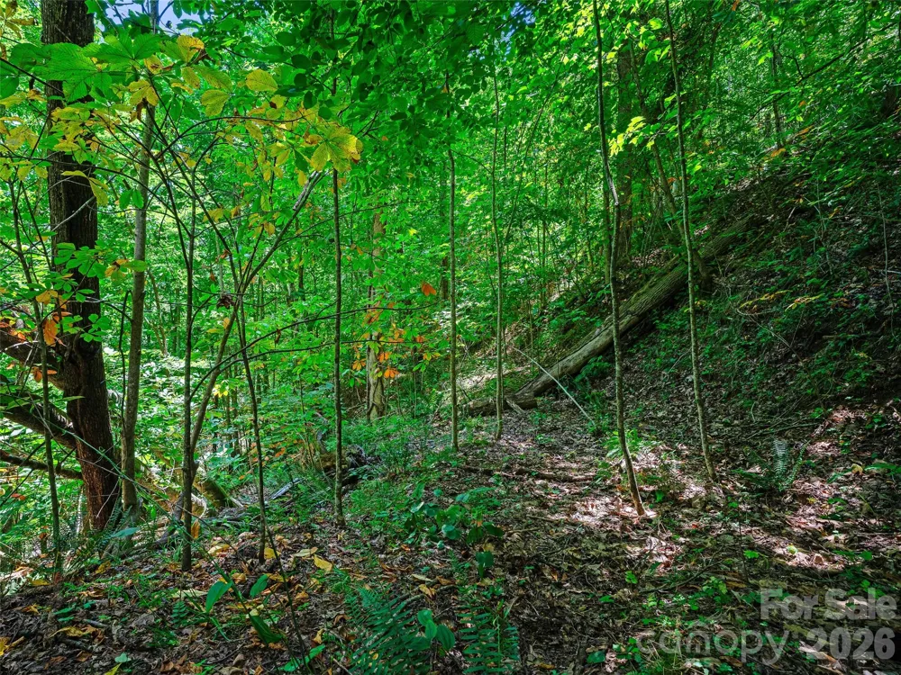 000 Cove Mountain Road Burnsville, NC 28714