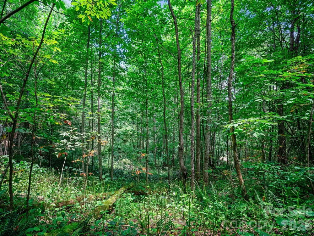 000 Cove Mountain Road Burnsville, NC 28714