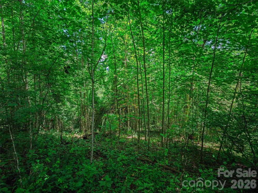000 Cove Mountain Road Burnsville, NC 28714