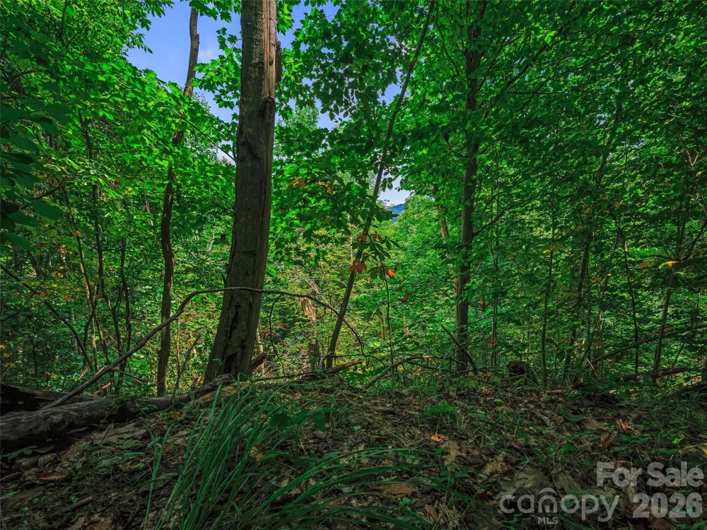 000 Cove Mountain Road Burnsville, NC 28714