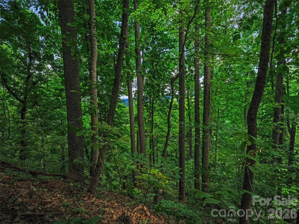 000 Cove Mountain Road Burnsville, NC 28714